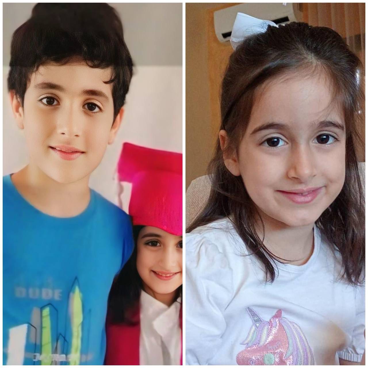 حسن وأميرة فضل الله 6 و10 سنوات قضيا امس في الغارة الاسرائيلية على حارة حريك